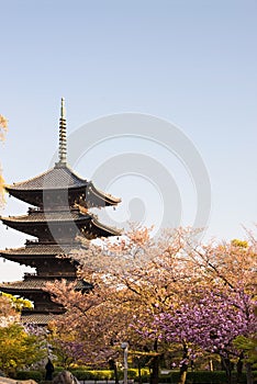 Kyoto, Japan at Toji temple