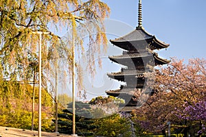 Kyoto, Japan at Toji temple