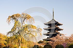 Kyoto, Japan at Toji temple