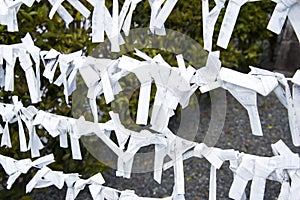 Kyoto, Japan â€“ Charms of paper fortune on a line in a temple. Omikuji prophecies