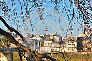 Kyoto Kamo river Kamogawa river side view, Kyoto, Japan