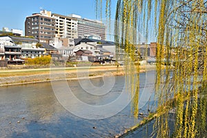 Kyoto Kamo river Kamogawa river side view, Kyoto, Japan