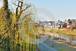 Kyoto Kamo river Kamogawa river view, Kyoto, Japan