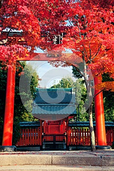 Kyoto Shrine