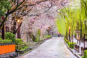 Kyoto in Spring