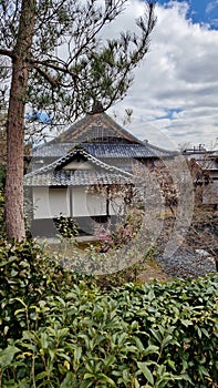 Kyoto temple with mountain view in Japan