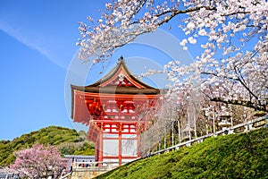 Kyoto Temples in the Spring