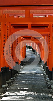 Kyoto Tori gates