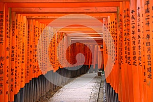 Kyoto Tori gates