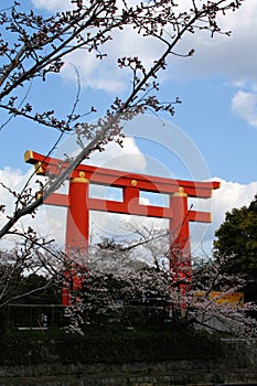 Kyoto Torii Gate