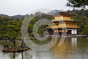 Kyoto Travel: Kinkakuji Golden Pavilion on a rainy day