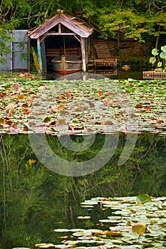 Estanque Agua jardín de templo. kioto. Japón 