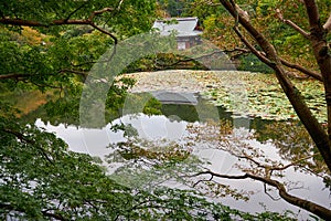 Rybník voda zahrada z chrám. kjóto. japonsko 