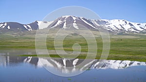 Kyrgyzstan nature green landscape with vast mountains.