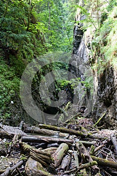 Kysel ravine in Slovak Paradise National park, Slovakia