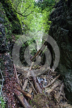 Kysel ravine in Slovak Paradise National park, Slovakia