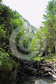 Kysel ravine in Slovak Paradise National park, Slovakia