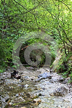 Kysel ravine in Slovak Paradise National park, Slovakia