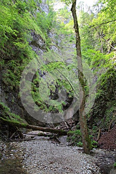 Kysel ravine in Slovak Paradise National park, Slovakia