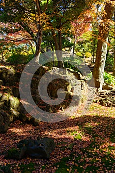 Kyu-Furukawa Gardens in autumn in Tokyo