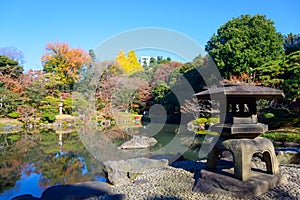 Kyu-Furukawa Gardens in autumn in Tokyo