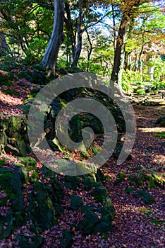 Kyu-Furukawa Gardens in autumn in Tokyo