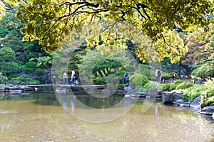 Kyu-Furukawa Gardens in Tokyo, Japan. The park includes an old western-style mansion with a rose