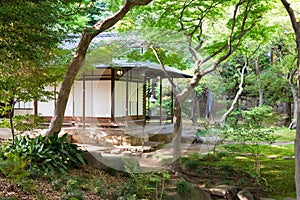 Kyu-Furukawa Gardens in Tokyo, Japan. The park includes an old western-style mansion with a rose