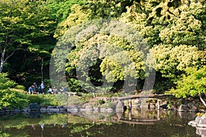 Kyu-Furukawa Gardens in Tokyo, Japan. The park includes an old western-style mansion with a rose