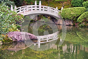 Kyu-yasuda garden, a small japanese stroll garden located in Ryogoku. Tokyo. Japan