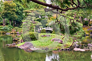 Kyu-yasuda garden, a small japanese stroll garden located in Ryogoku. Tokyo. Japan