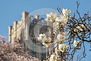 Kyung Hee University