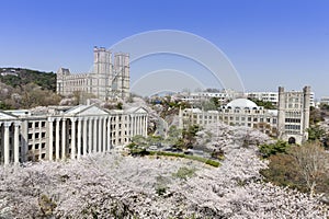 Kyung Hee University, Seoul, Korea