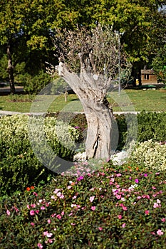 Kültürpark in Izmir, Turkey