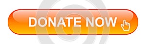 Donate now button