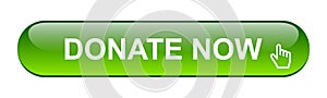Donate now button