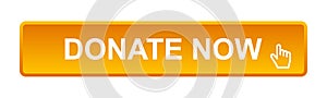 Donate now button