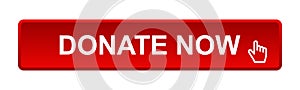 Donate now button