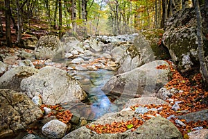 L`Agnone river at Vizzavona in Corsica