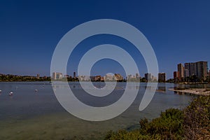 L bird white-pink flamingo on a salty blue lake in spain in calpe urban landscape