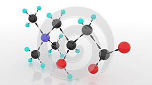 L-Carnitine, Carnitine, Levocarnitine. 3d.