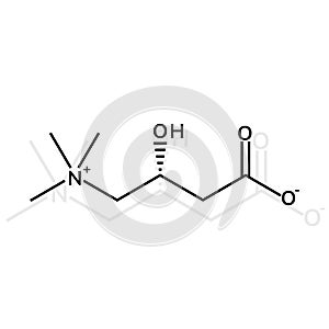 L-carnitine chemical formula