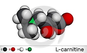 L-carnitine, Levocarnitine, Carnitine, C7H15NO3 molecule. Molecular model