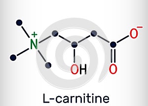 L-carnitine, Levocarnitine, Carnitine, C7H15NO3 molecule. Structural chemical formula