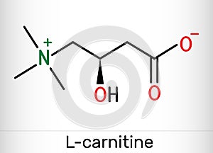 L-carnitine, Levocarnitine, Carnitine, C7H15NO3 molecule. Structural chemical formula