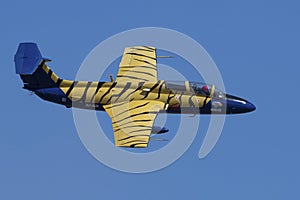 L-29 Delfin flypast