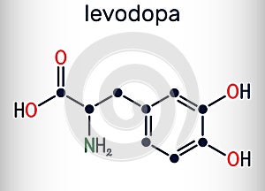 l-DOPA, levodopa molecule. It is an amino acid, is used to increase dopamine concentrations in the treatment of