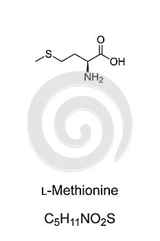 L-Methionine, chemical formula and structure, essential amino acid photo