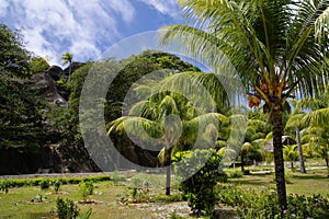 L'Union Estate, La Digue, Seychelles islands