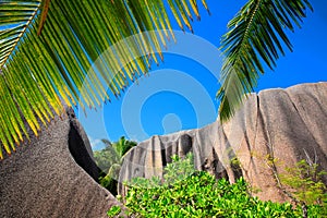 L\'Union Estate national park, Island La Digue, Republic of Seychelles, Africa